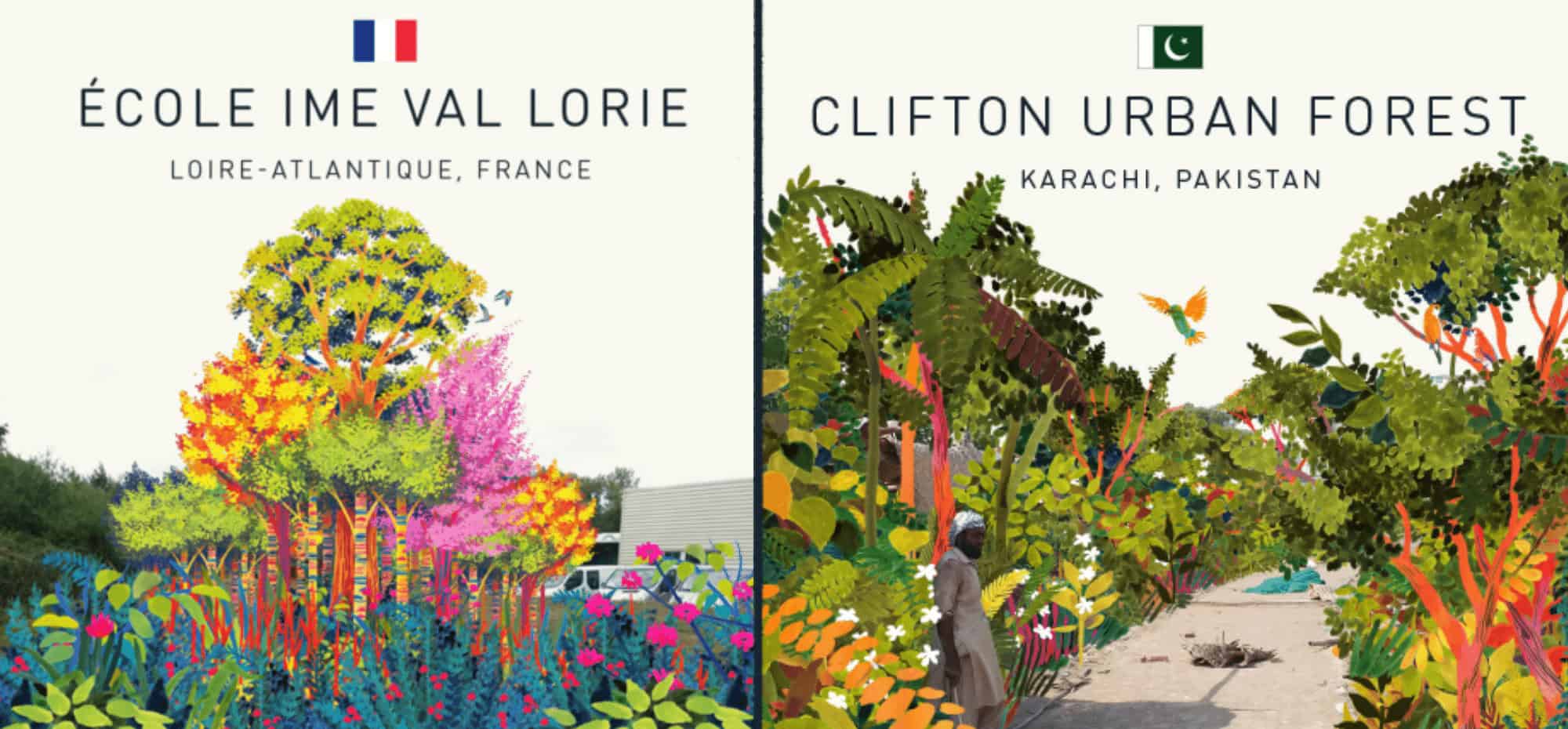 Urban rewilding project cleans and cools city air