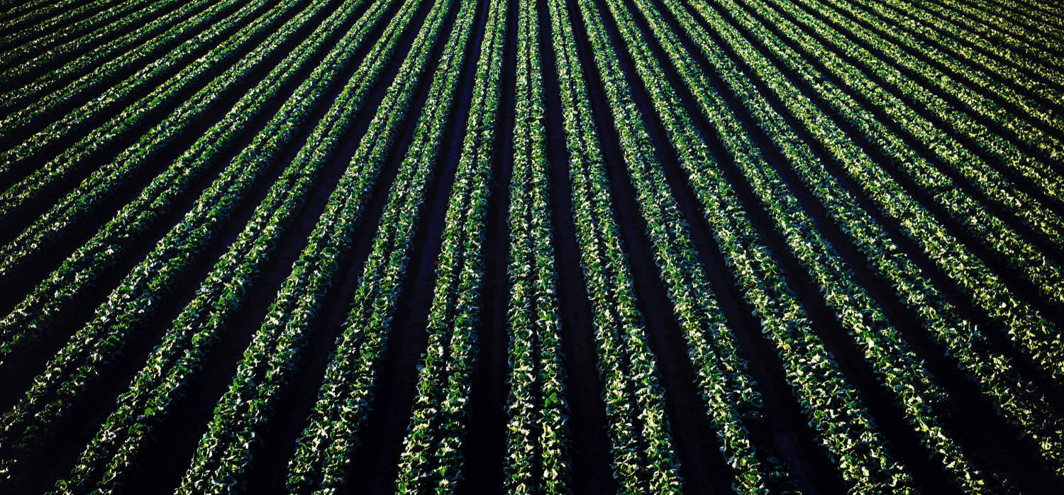 Startup predicts droughts and controls irrigation in real-time