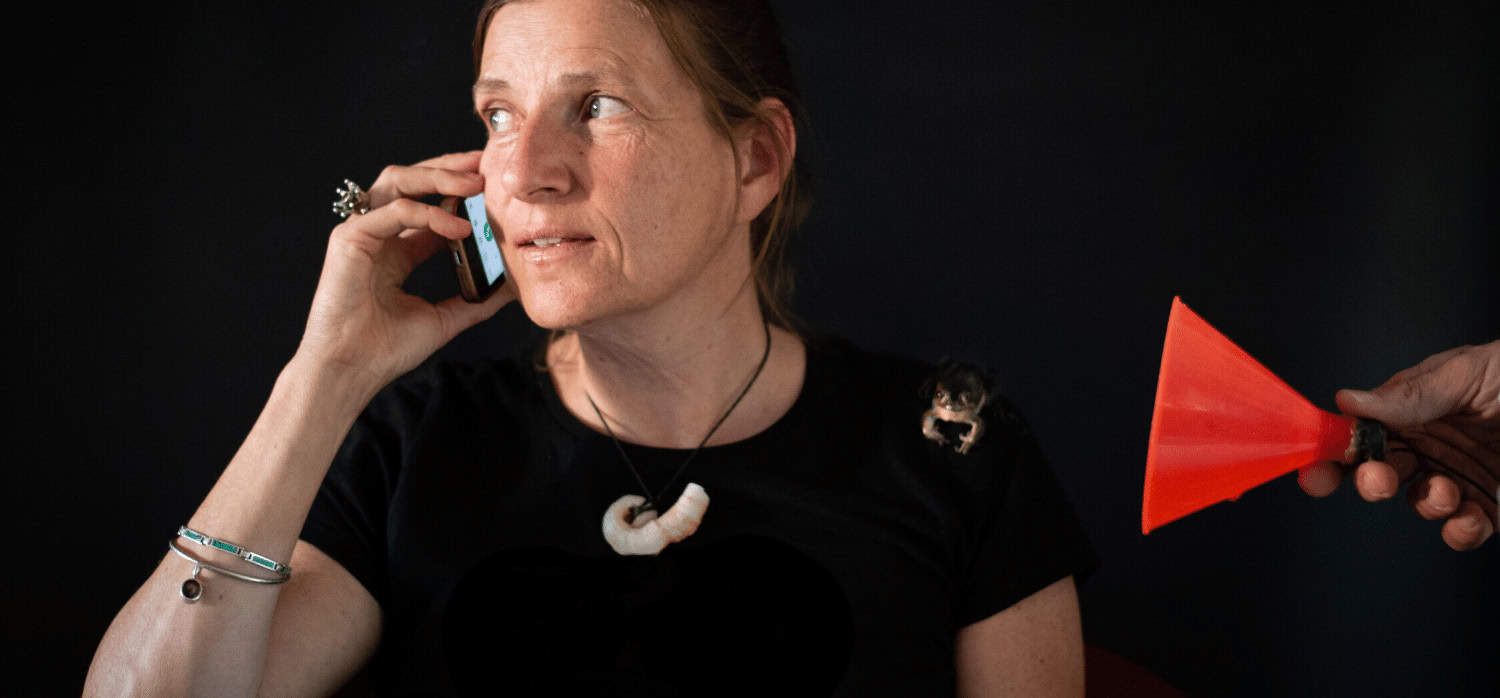 Researchers develop FrogPhone to monitor habitats - Springwise