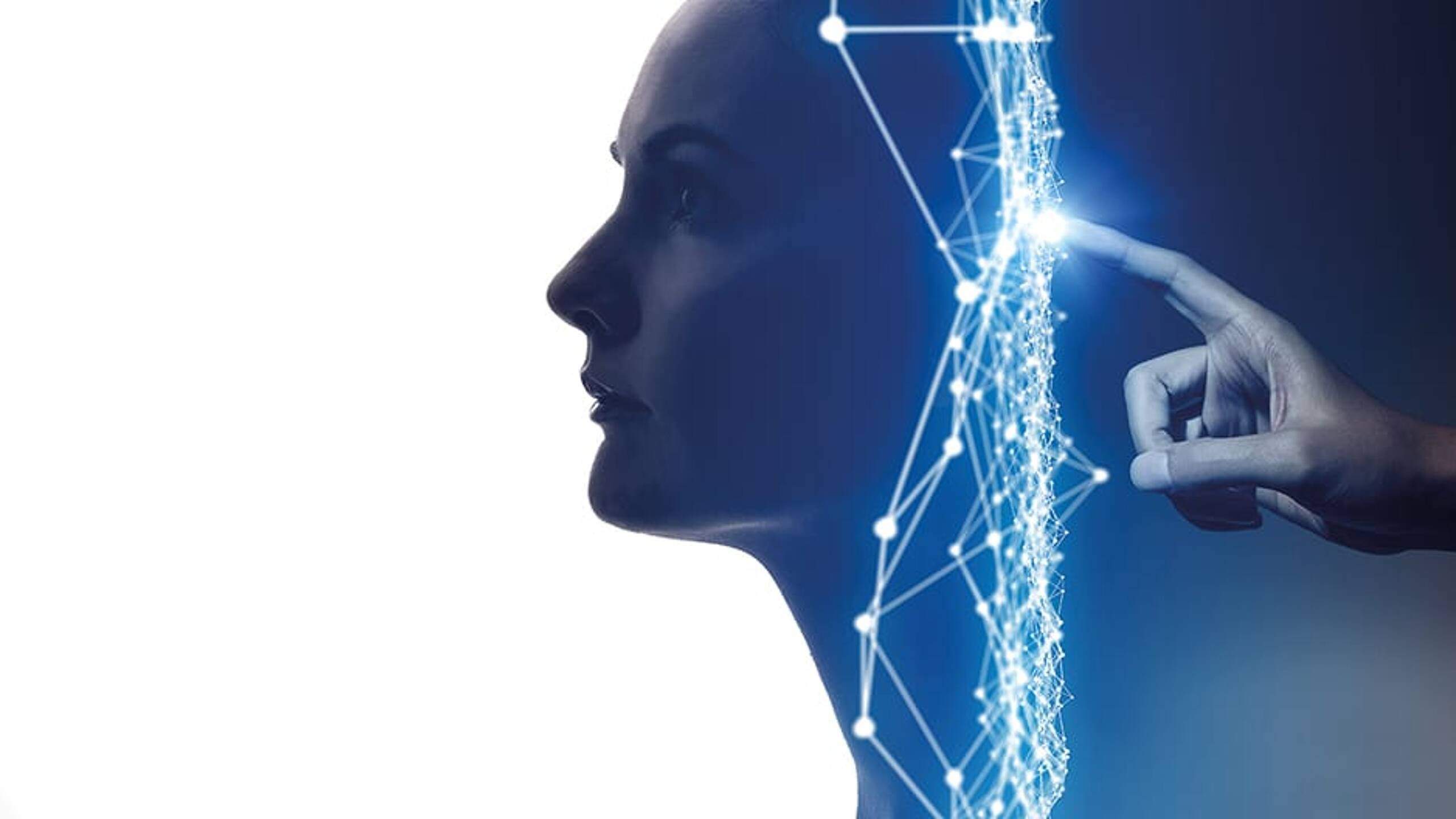 Flex 3: The AI edition