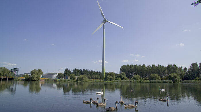 RSPB signs up for Ecotricity renewable tariff