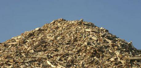 Biomass industry wants progress on setting sustainability standards