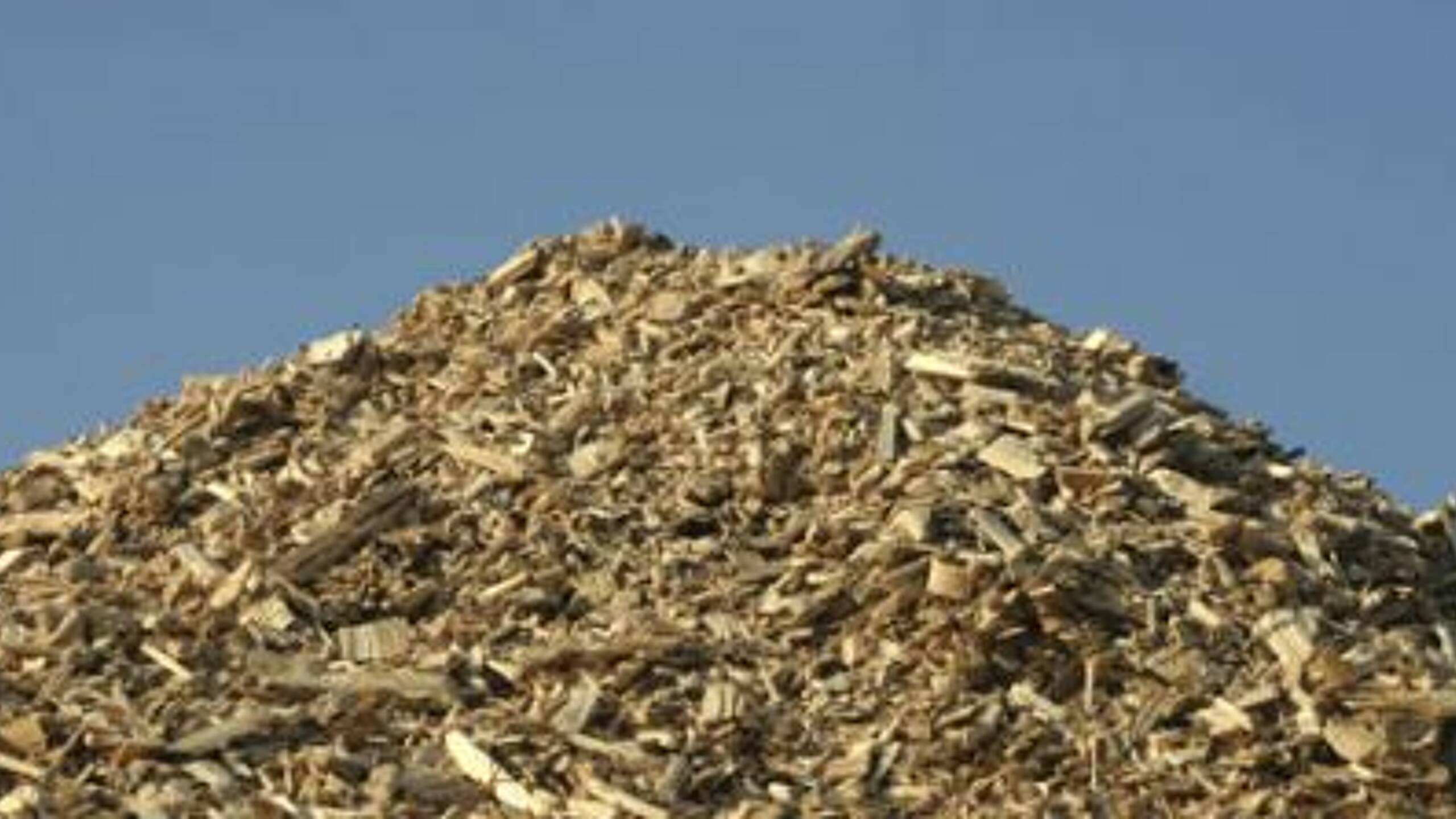 Drax drops plans for dedicated biomass plant and raises £190 million to convert from coal