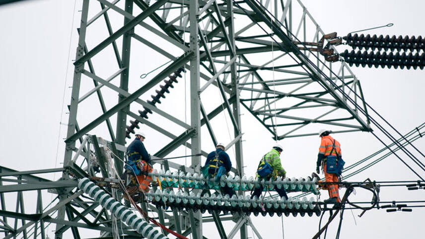 Networks must display purpose and impact to attract net zero talent