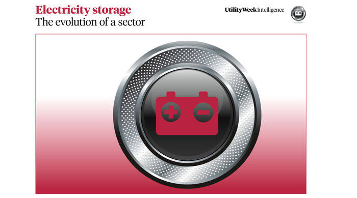 PREMIUM: Energy storage: the evolution of a sector