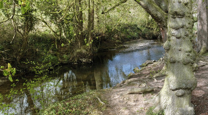 Brexit and the environment