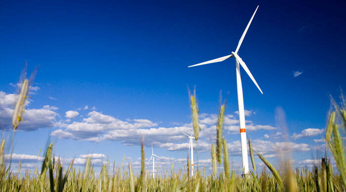 Renewables fund flourishes despite £20m Treasury hit