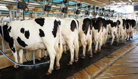 Severn Trent Costain completes pan-GB multi-site switch for First Milk