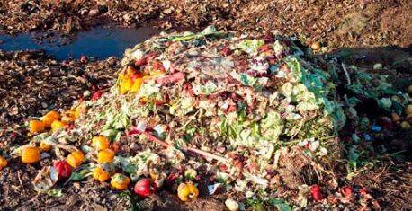 New 60MW energy-from-waste plant in Cheshire approved by DECC