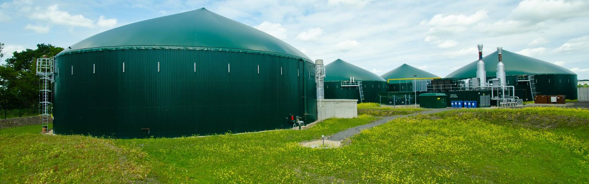 Biogas producer reveals plans for 25 new plants with CCS