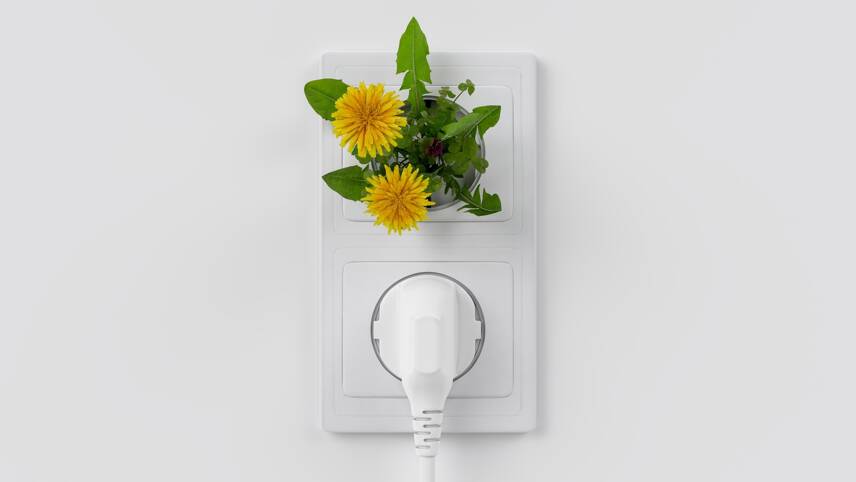 More than 3,000 households sign up to P2P green energy exchange