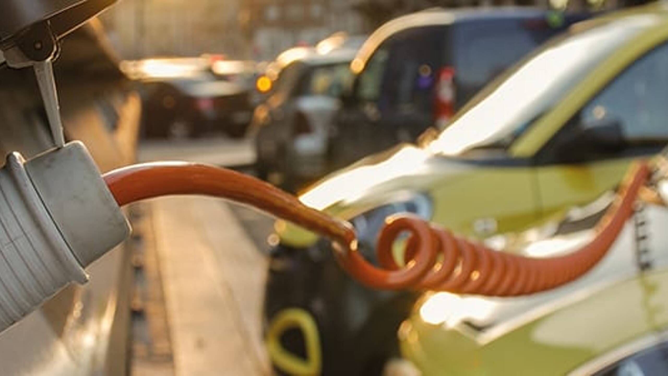 Energy crisis can be transformed into ‘catapult for change’