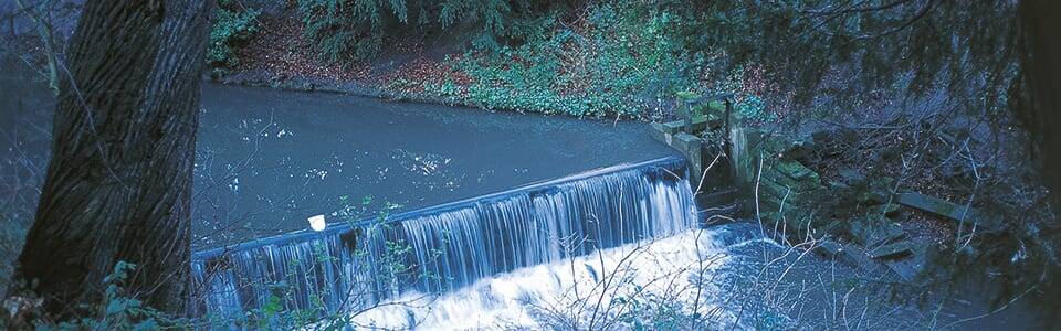 Anglian Water to share resources to help irrigation