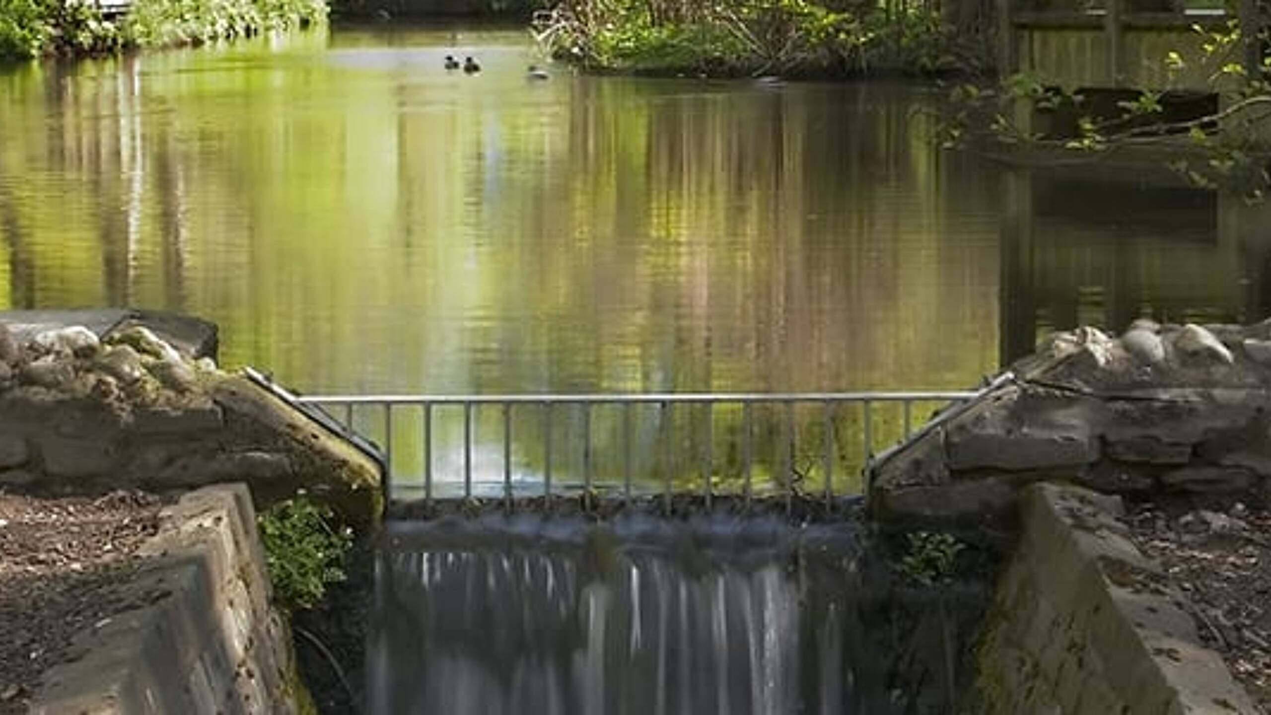 Water industry demands ‘swift’ policy changes to accelerate river clean-up efforts