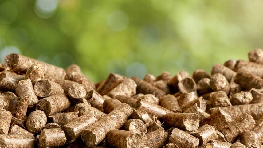BEIS allocates £37m to bioenergy innovation projects