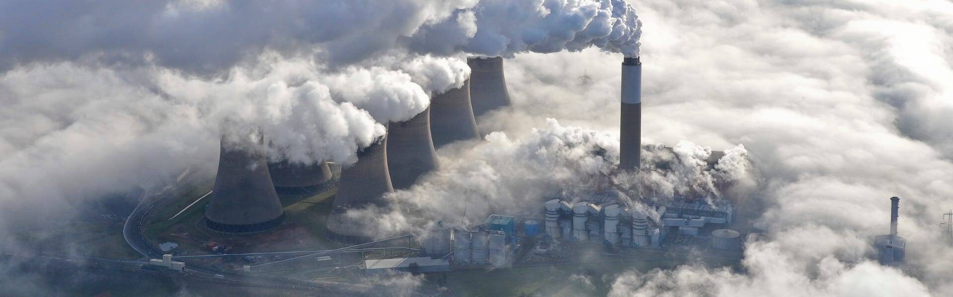 Biomass slammed as worse than fossil fuels