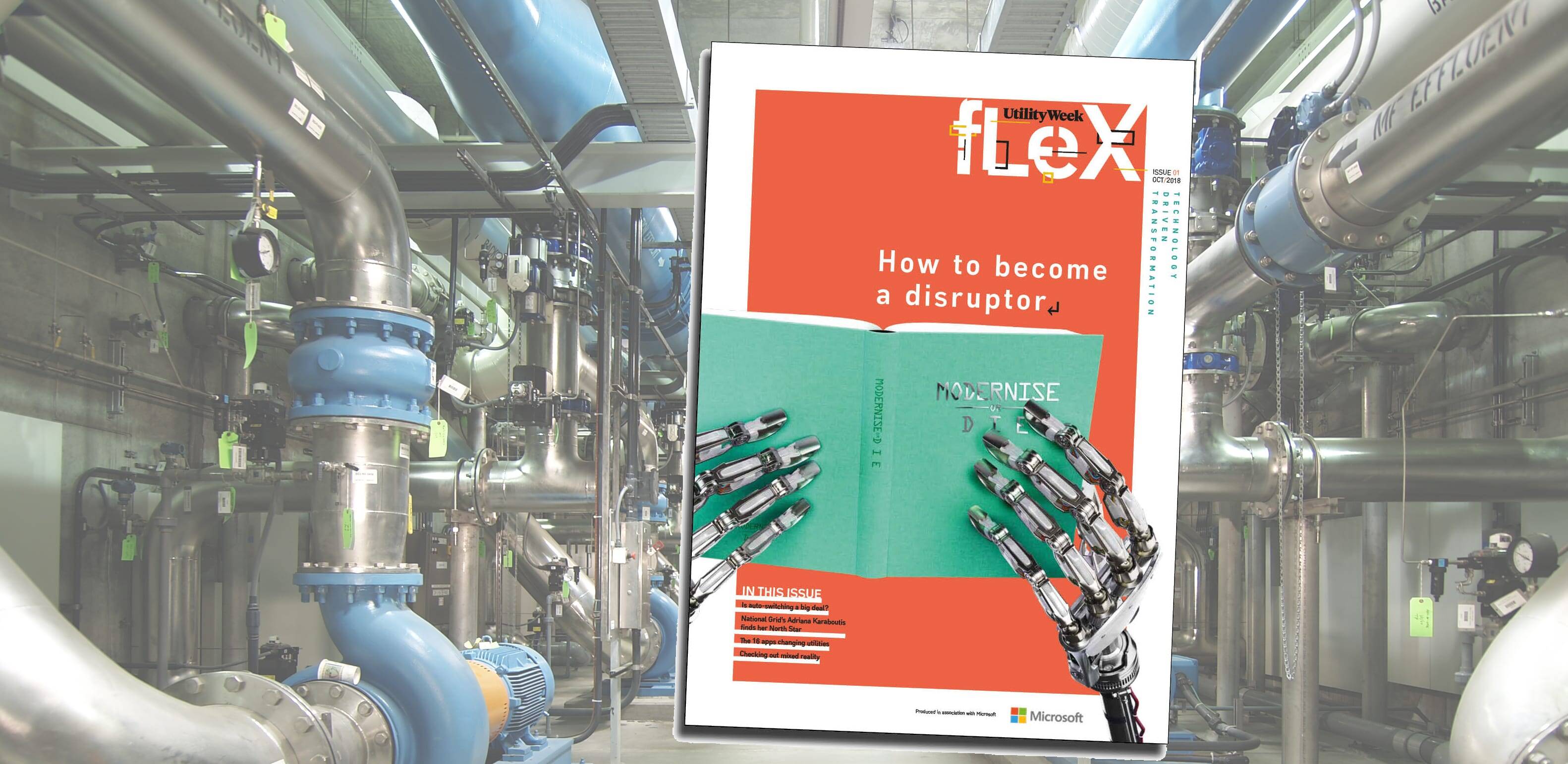 Flex 1: Disruption