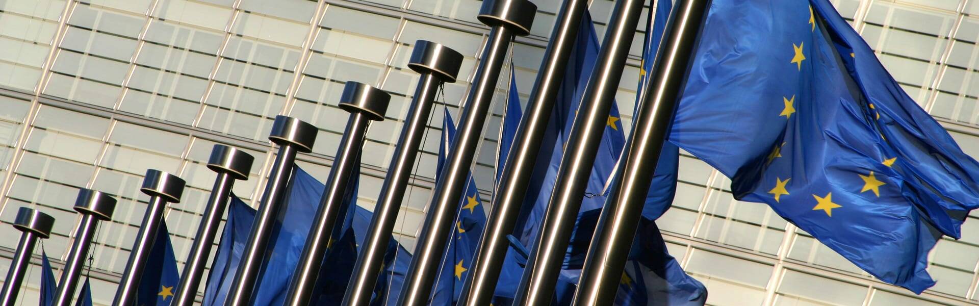 European Commission appeals capacity market court ruling