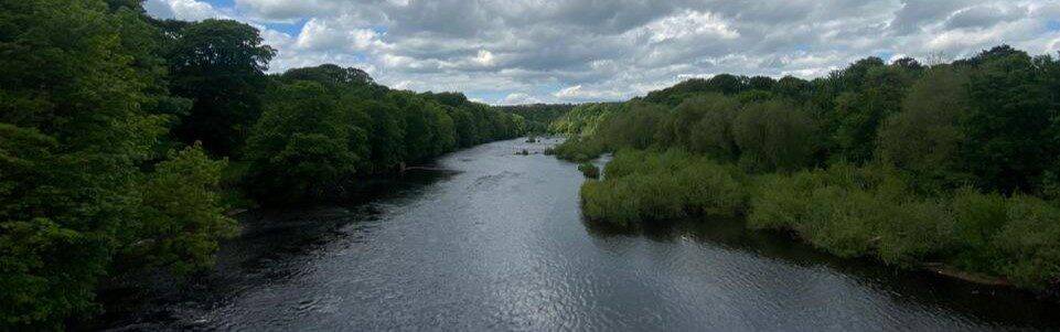 Thames sets out river restoration plans