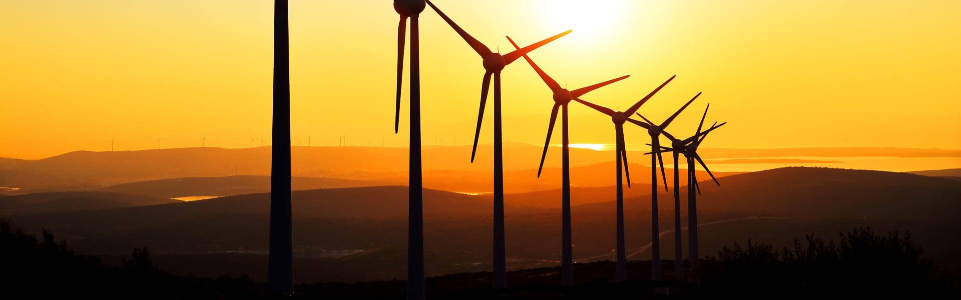 Renewed support for onshore wind and solar draws investors to UK