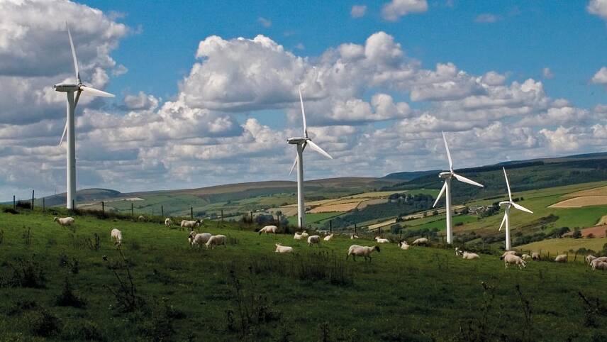Build Back Better: Shades of green for renewable energy