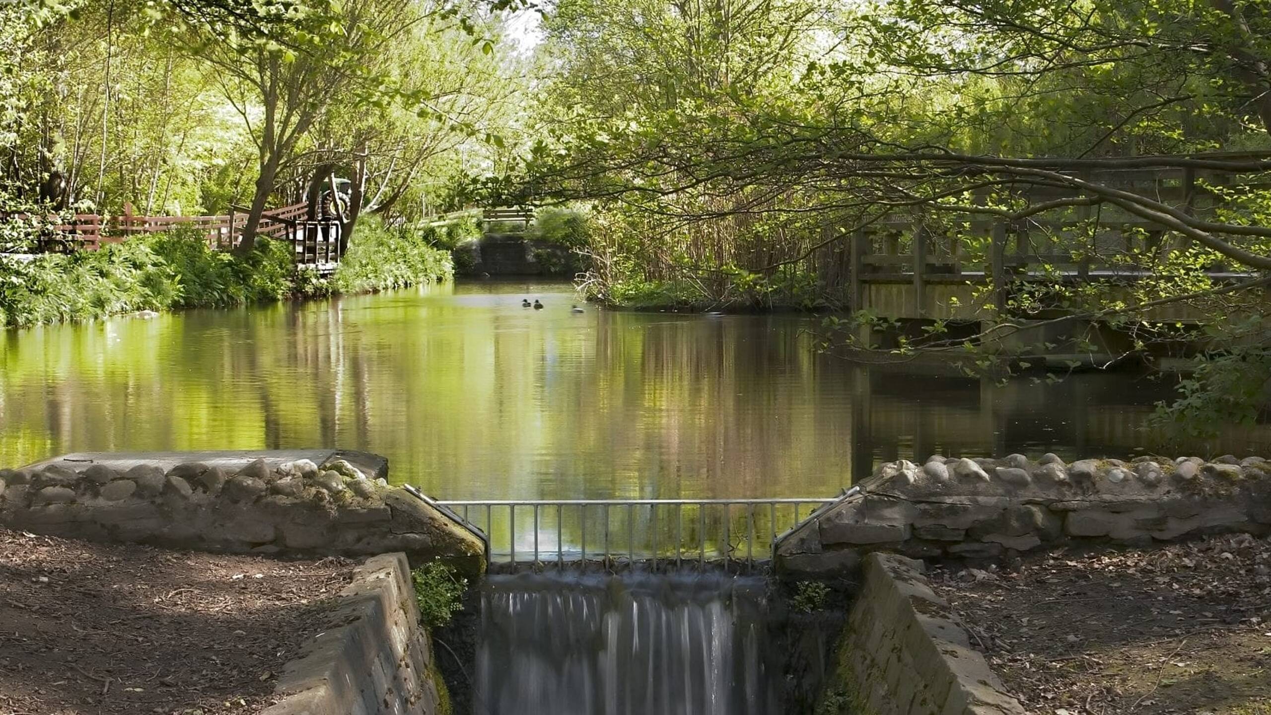 OEP says water consumption moving in ‘wrong direction’