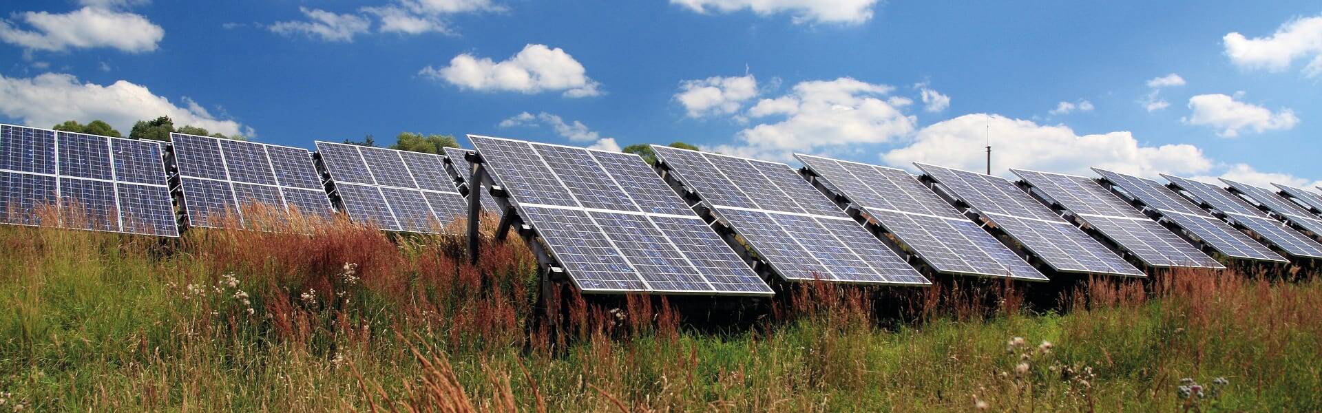 EDF proposes 350MW solar farm in Essex