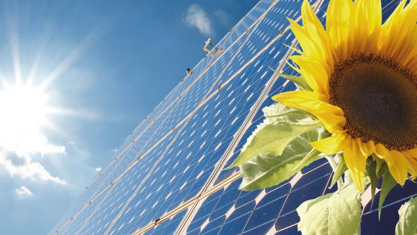 Tories’ pathway to net-zero starts to emerge