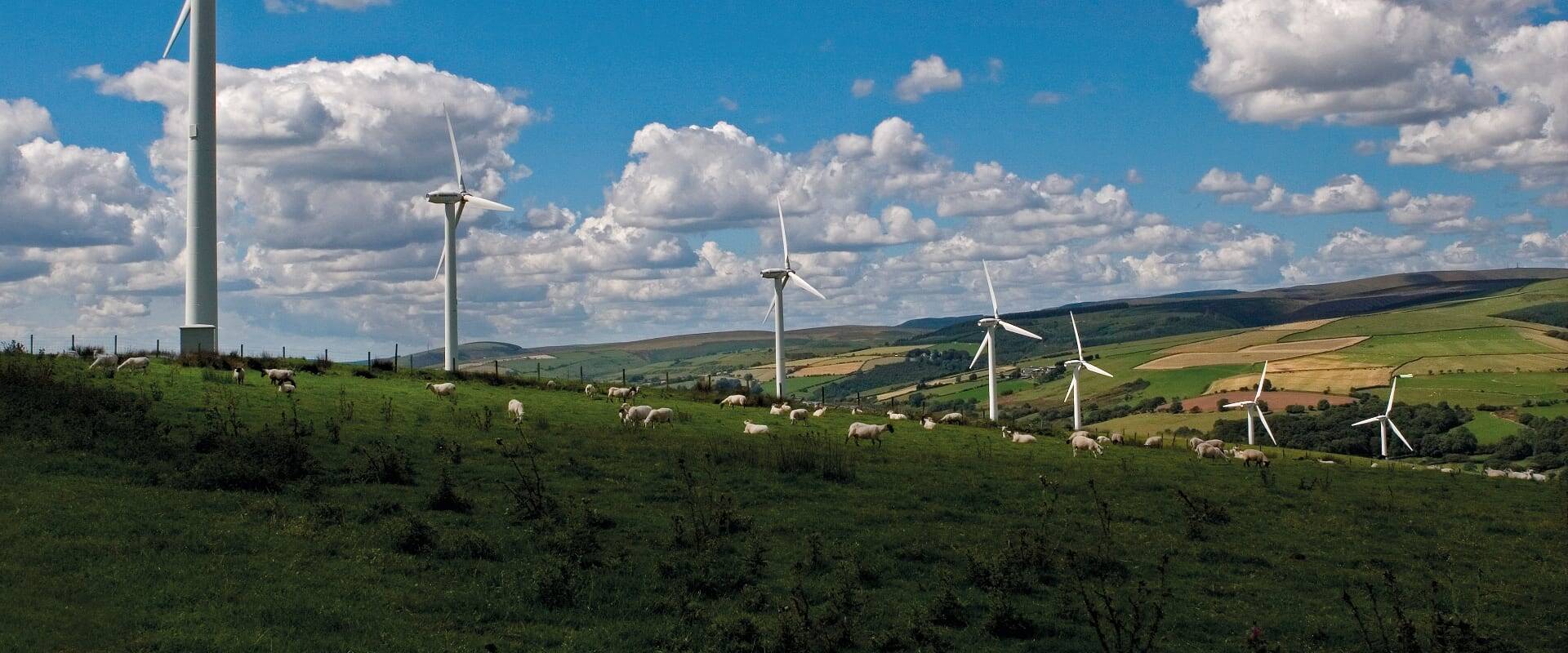 Renewables forecast to overtake fossil fuels in 2020
