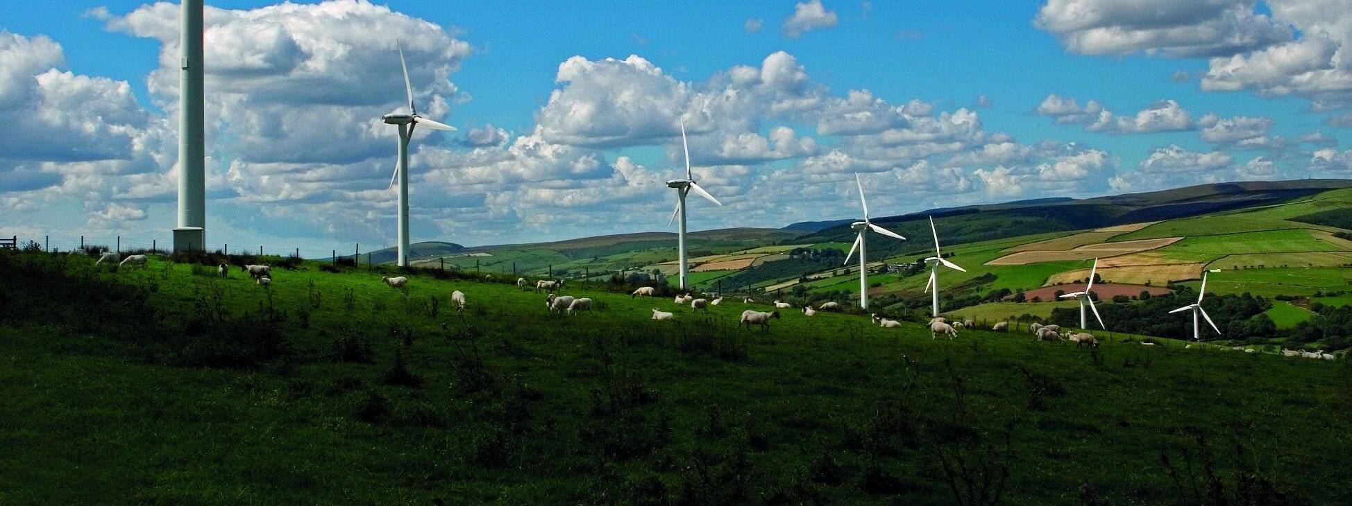 Greencoat to buy subsidy-free wind project in Scotland