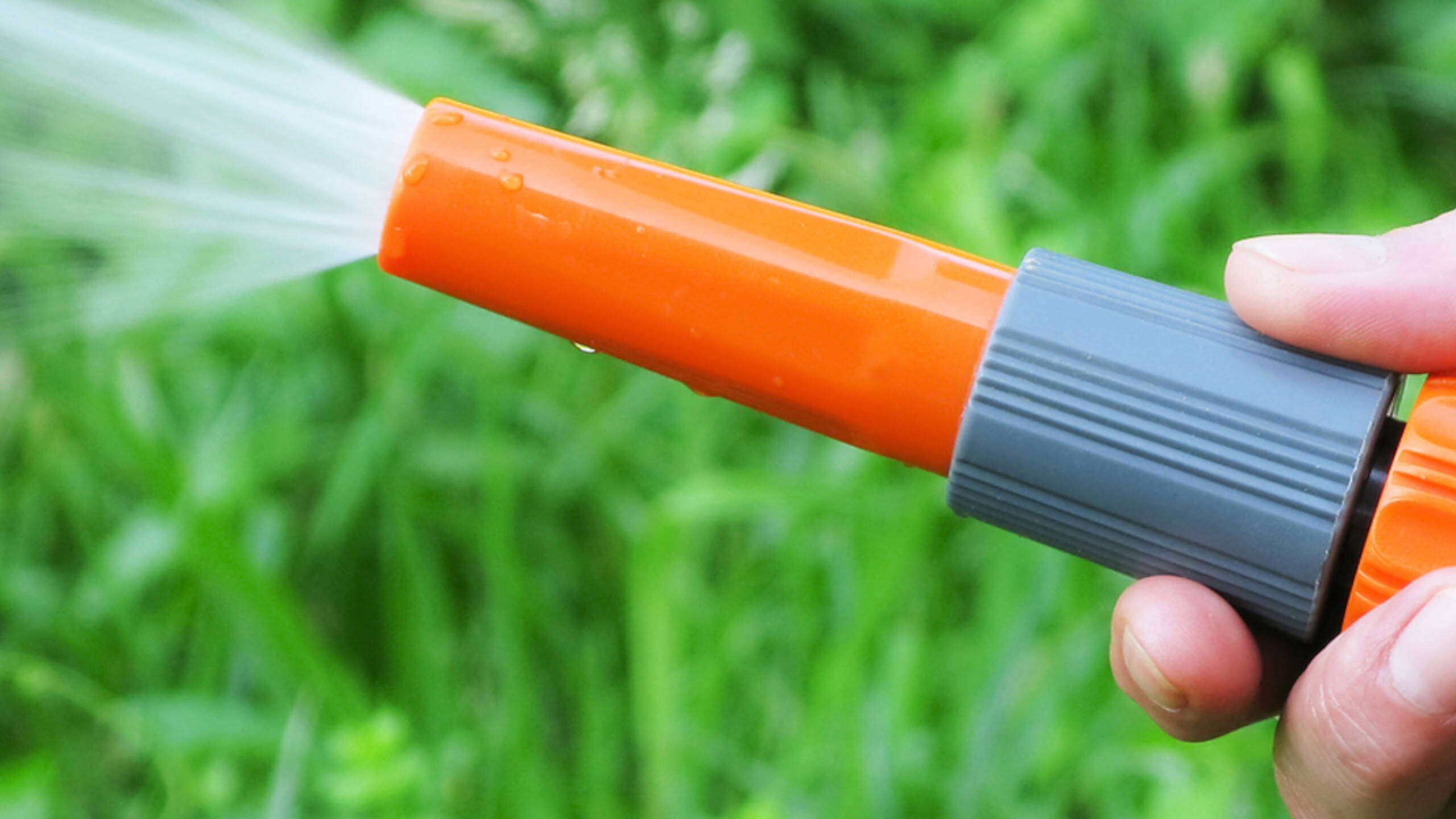 Hosepipe ban in West Country after drought declared