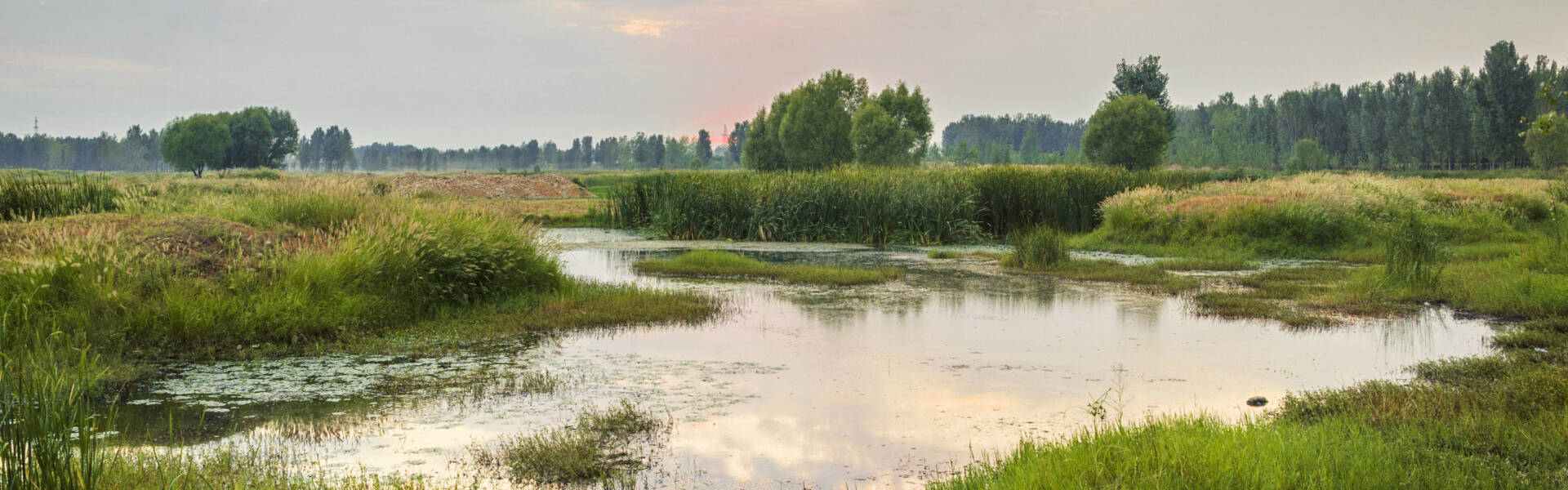 The changing role of wetlands