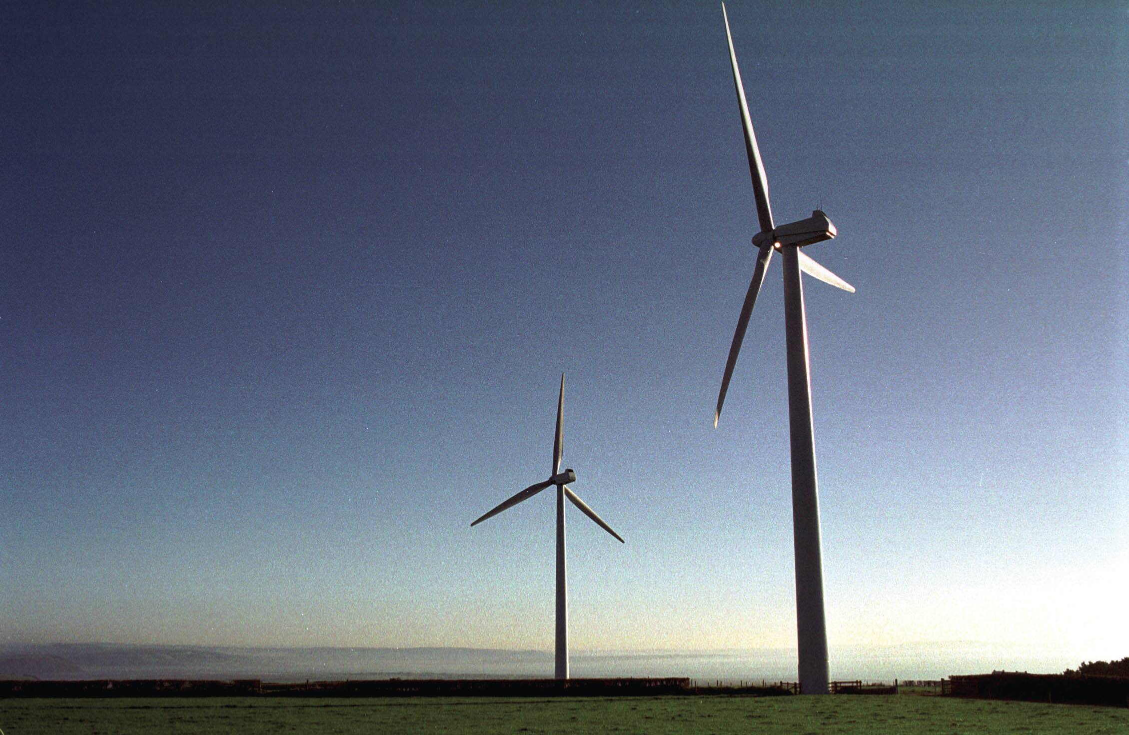 Government to consider tweaks for renewable subsidies