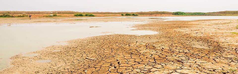 Drought group issues summer warning