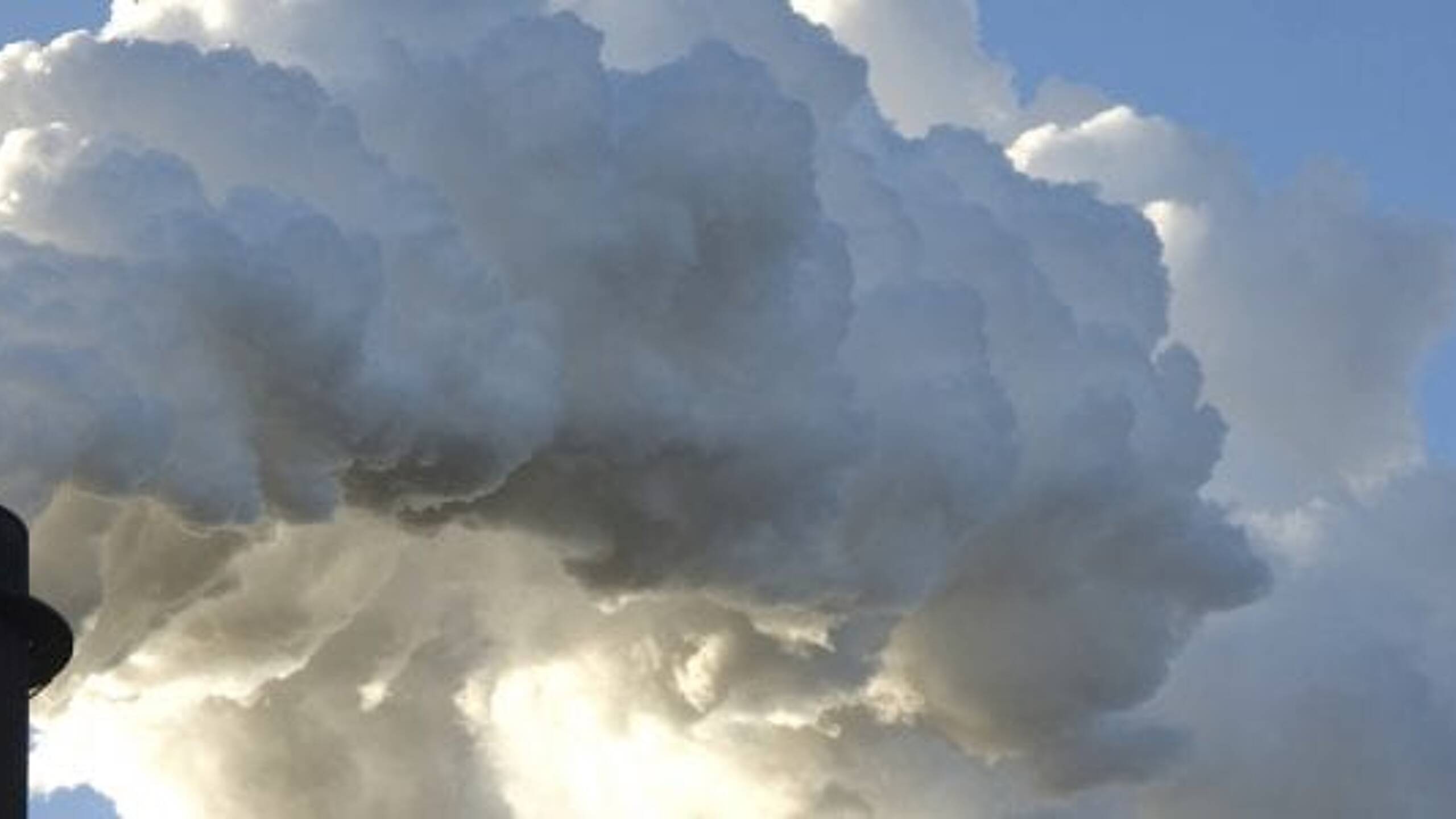 Regulatory shake-up needed to hit net-zero