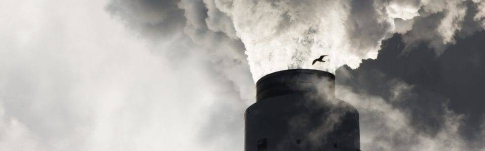 All energy codes lead to net zero
