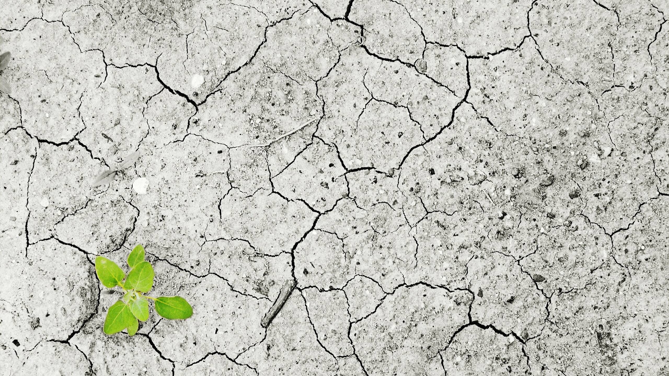 Reform for decarbonisation