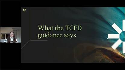 TCFD Series – Risk Integration
