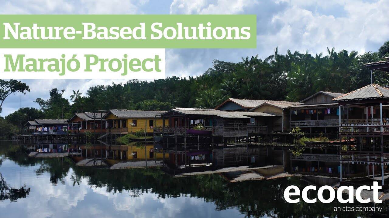 Marajó project – Nature-based solutions | What happens in the field?