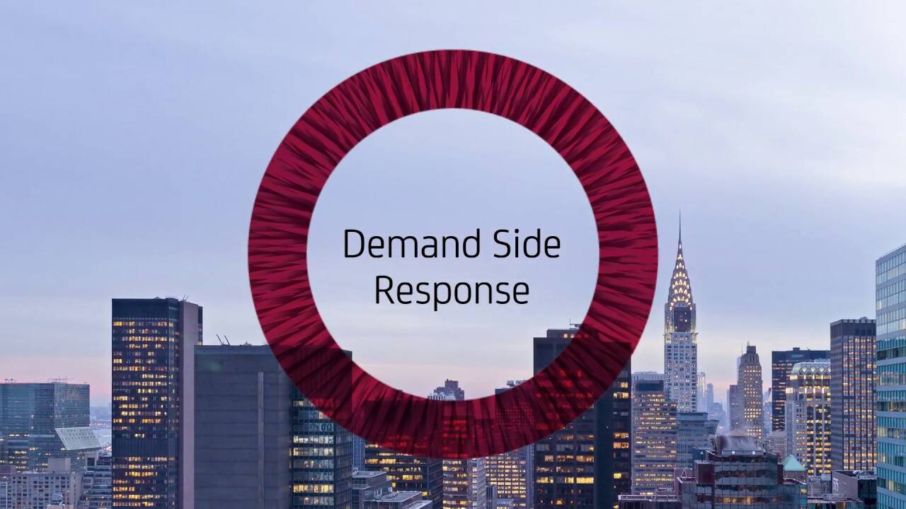 Demand Side Response