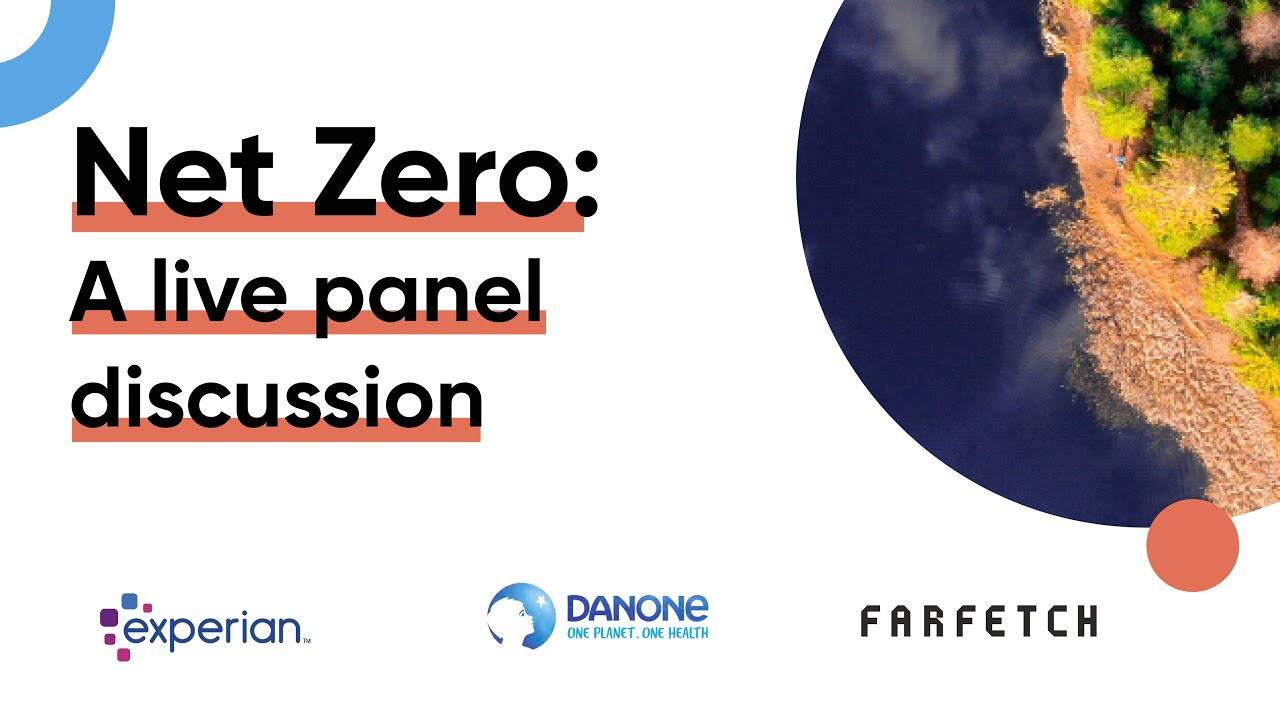 Net Zero: panel discussion